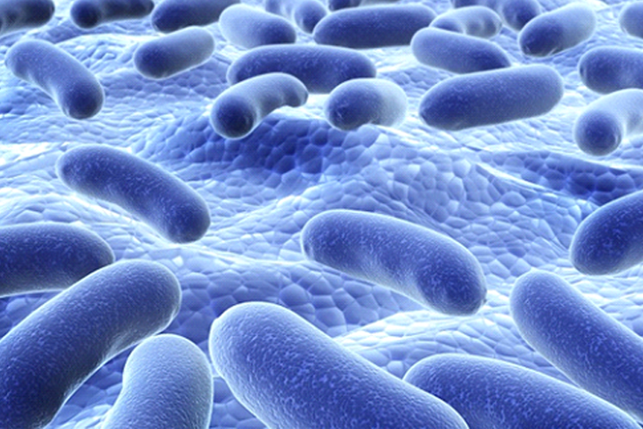 Beneficial Bacterial Spores – A New Breakthrough in the Probiotics Industry