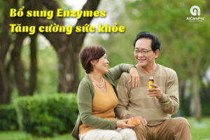 Lợi Ích Của Việc Bổ Sung Enzymes