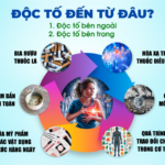 Độc tố đến từ đâu?